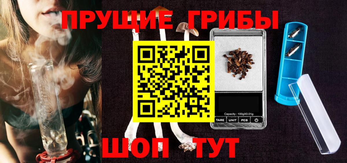 Конаково  Галлюциногенные грибы мухоморы  Псилоцибиновые грибы прущие грибы  Вход с VPN 