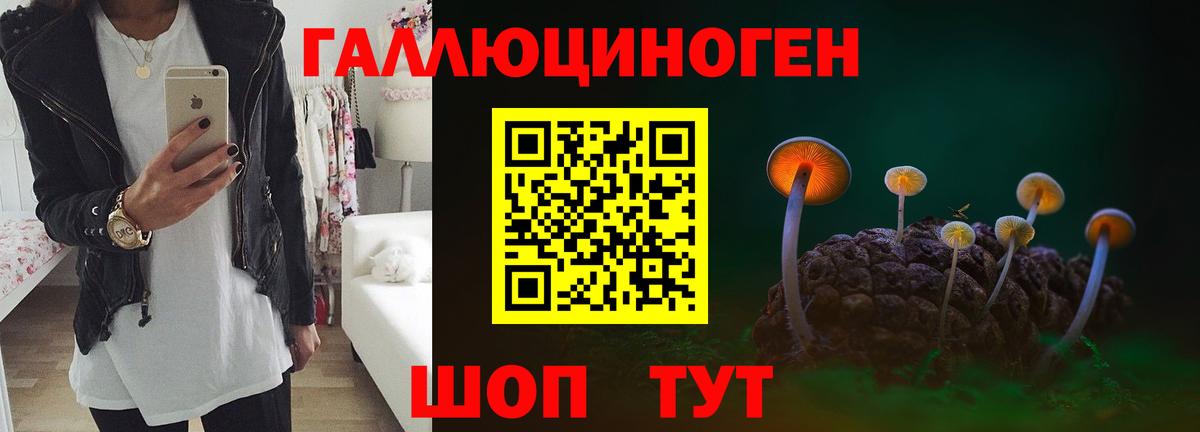 Псилоцибиновые грибы GOLDEN TEACHER Конаково