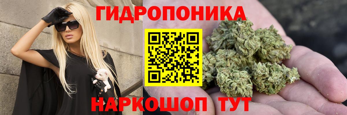 Канабис Bruce Banner  Вход с VPN  Конаково  Канабис SATIVA & INDICA  Бошки марихуана Bruce Banner 